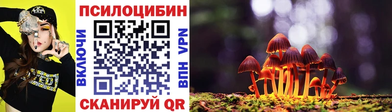 Купить закладки  Славгород  Псилоцибиновые грибы Magic Shrooms 