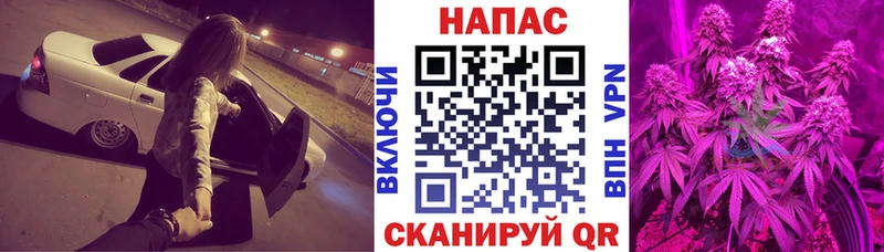 Купить где  Славгород  Марихуана OG Kush 